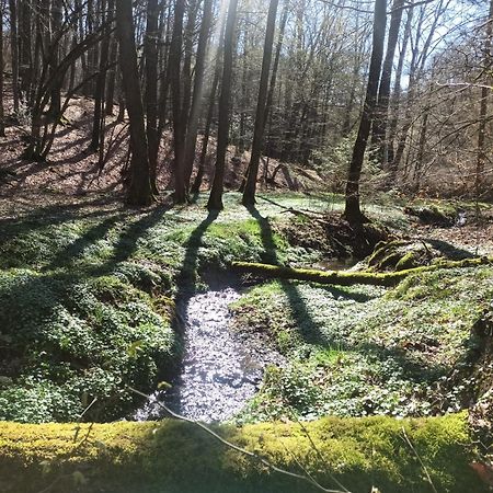 Wellness Ferienwohnung Biene Im Bergischen Land 머치 외부 사진